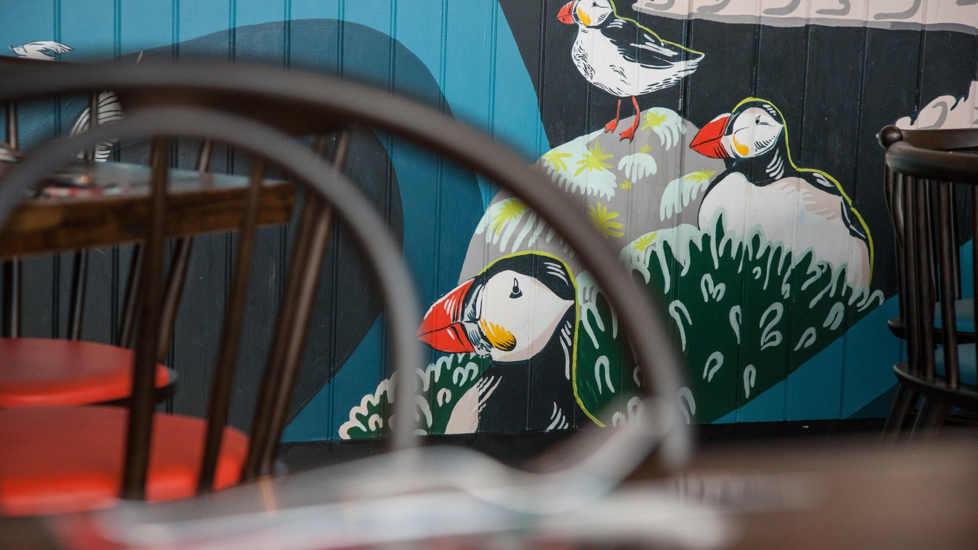 Art wall Zizzi Leith. 